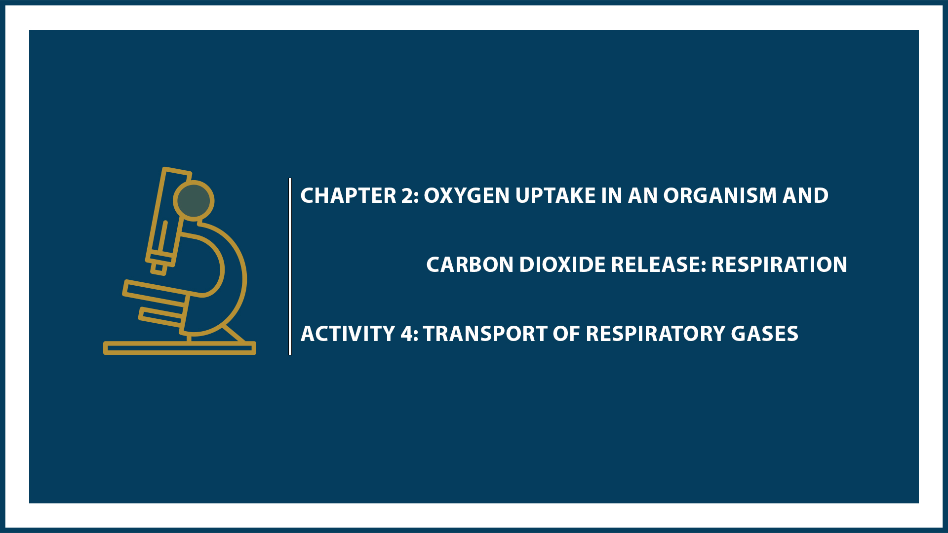 Chapter 2: Respiration (Activity 4: Transport of respiratory gases)